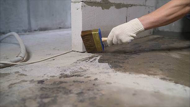 24/7 Emergency Crawl Space Encapsulation experts in Greenville, AL